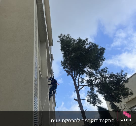 אדם מטפס על בניין עם ציוד טיפוס